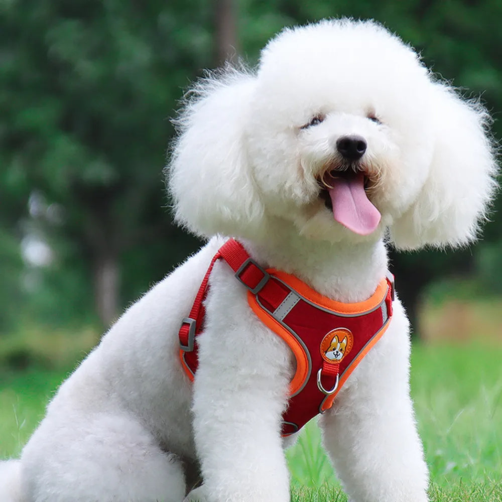New Dog Leash And Harness Set Pet Adjustable Puppy Cat Harness Vest Reflective Free Shipping