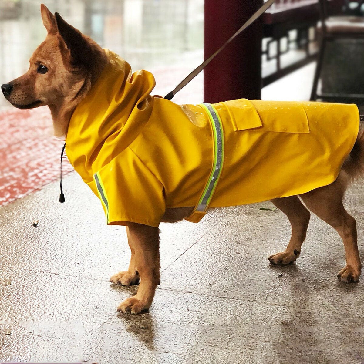 Cat Supplies Dog Raincoat,Waterproof Dog Rain Jacket With Safety Reflective Stripe Furry Pawz