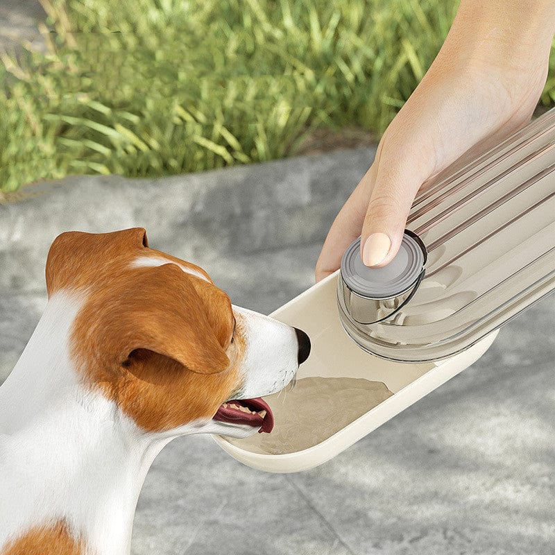 Pet Supplies 2 In 1 Pet Water Cup Segment Design Feeding Pets Products Furry Pawz