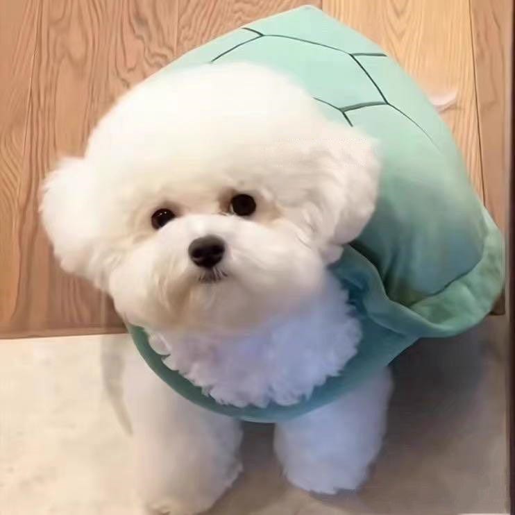 Pet Supplies Turtle Shell Pet Vest Funny Clothes Furry Pawz