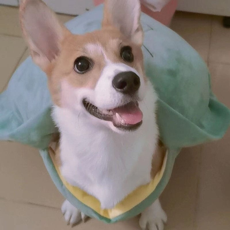 Pet Supplies Turtle Shell Pet Vest Funny Clothes Furry Pawz
