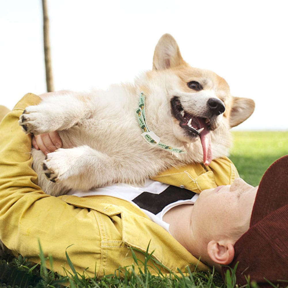 Pets - Dog Collars & Leads Anti-Flea, Anti-Lice, Waterproof Adjustable Neck Collar for Dogs & Cats Furry Pawz
