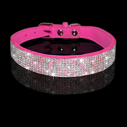 Pet Supplies Pet Collar Beautiful Cute Attractive Quality Furry Pawz
