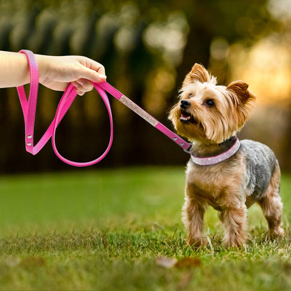 Pet Supplies Pet Collar Beautiful Cute Attractive Quality Furry Pawz